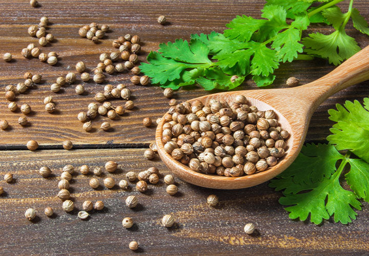 Coriander Substitute The Spice House