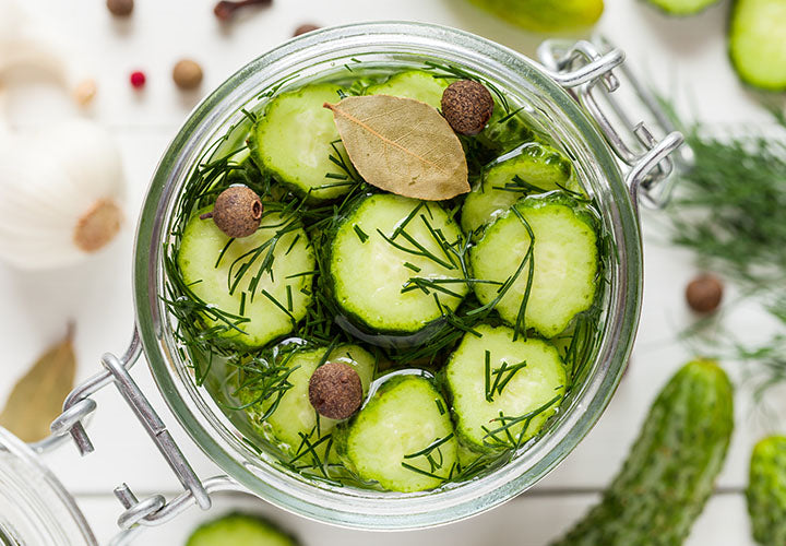 No-Salt Refrigerator Pickles Recipe & Spice