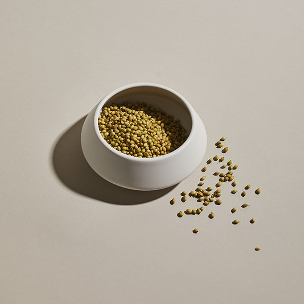 Coriander, Indian Seeds