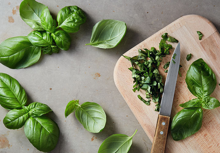 Exploring Creative Uses for Fresh Basil