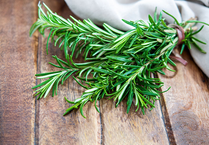Rosemary Rosemary