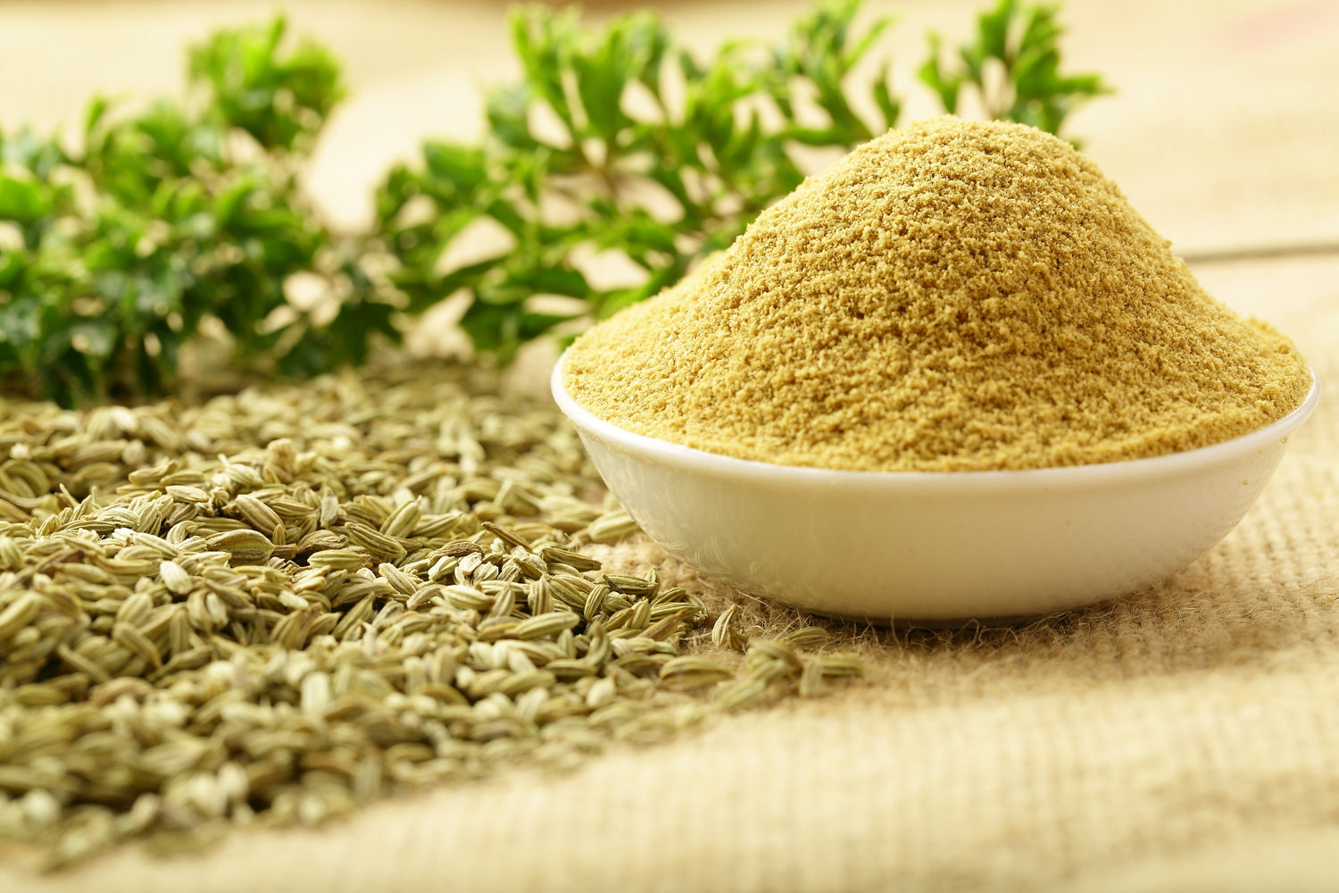 https://www.thespicehouse.com/cdn/shop/articles/Toasted_Fennel_Spice_Rub_1500x.jpg?v=1582745168
