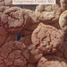 Gingersnap Cookie Mix