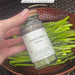 Green Goddess Dressing Mix