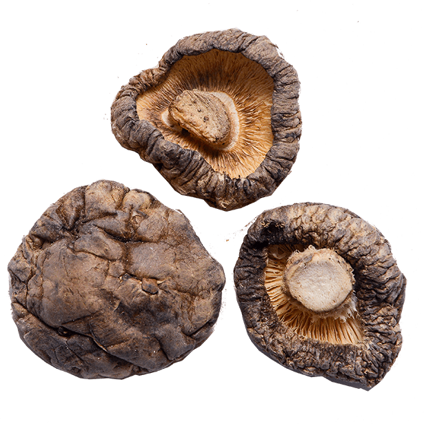 shiitake-mushrooms-3.png|algolia