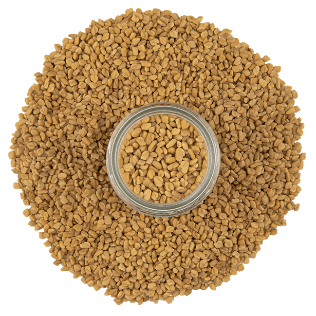 fenugreek-seeds-3.png|algolia