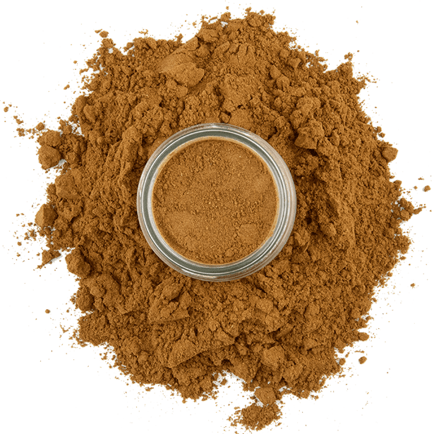 pumpkin-spice-3.png|algolia