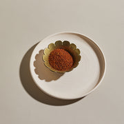 oaxacan-ancho-coffee-salt-free-rub-1.jpg