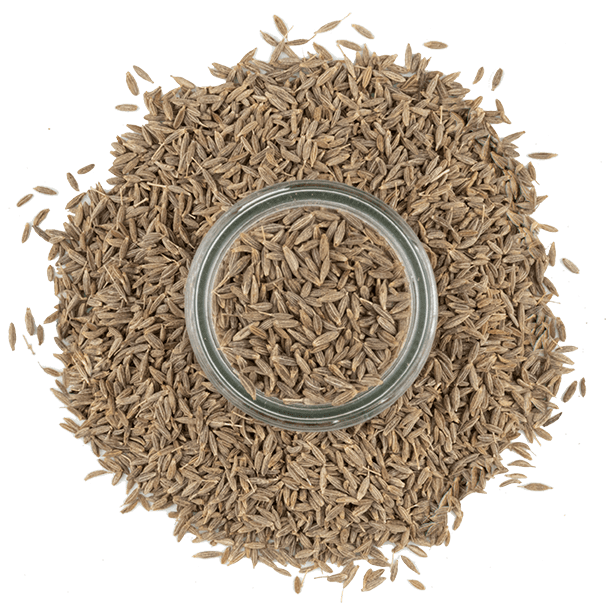 whole cumin seeds