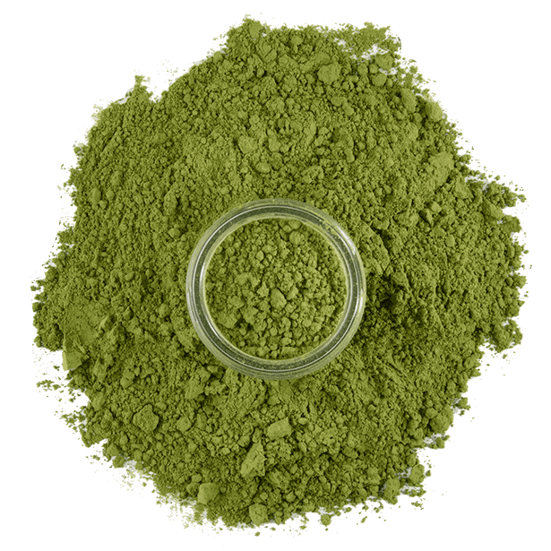 overhead view of green tea powder