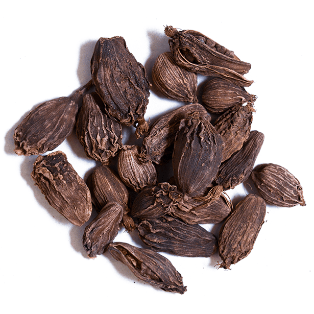 black-cardamom-pods-3.png|algolia
