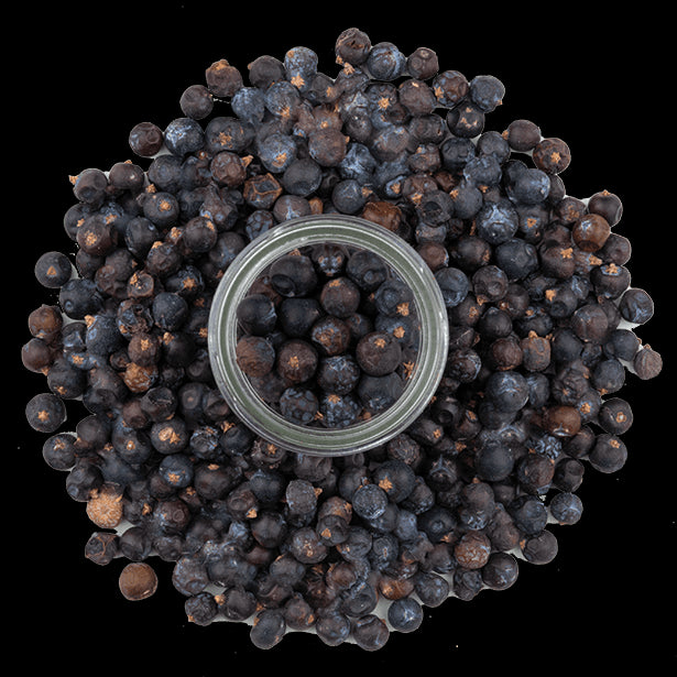 juniper-berries-3.png|algolia
