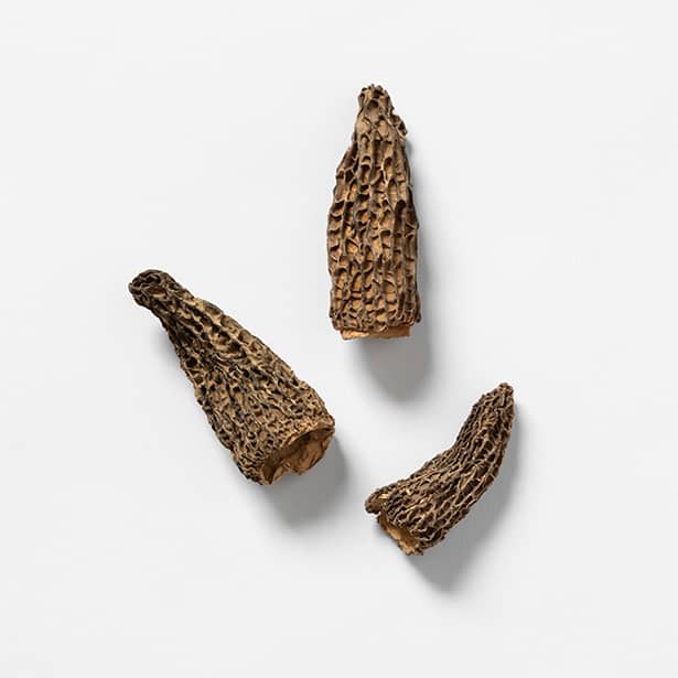 Morel Mushrooms