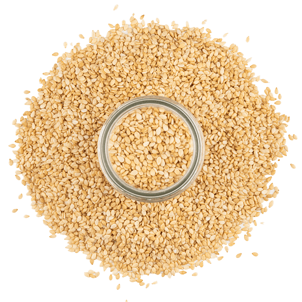 toasted-sesame-seeds-3.png|algolia