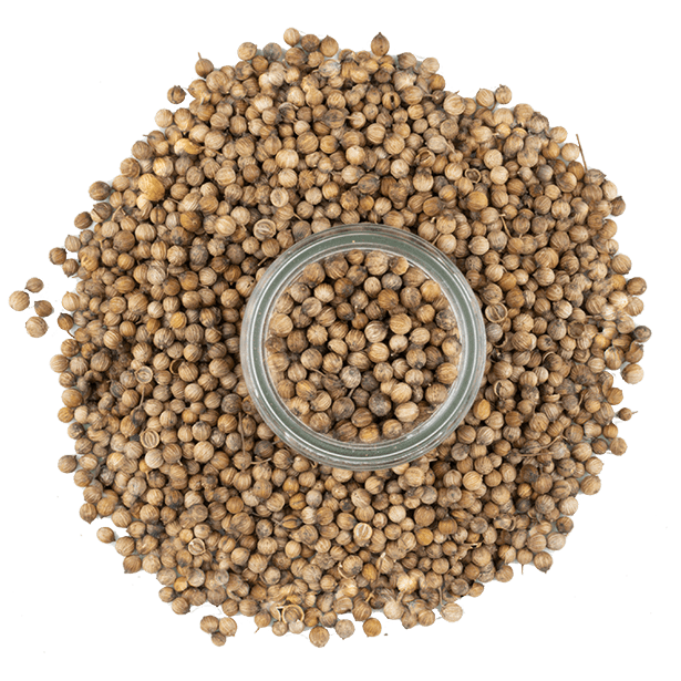 moroccan-coriander-seeds-3.png|algolia
