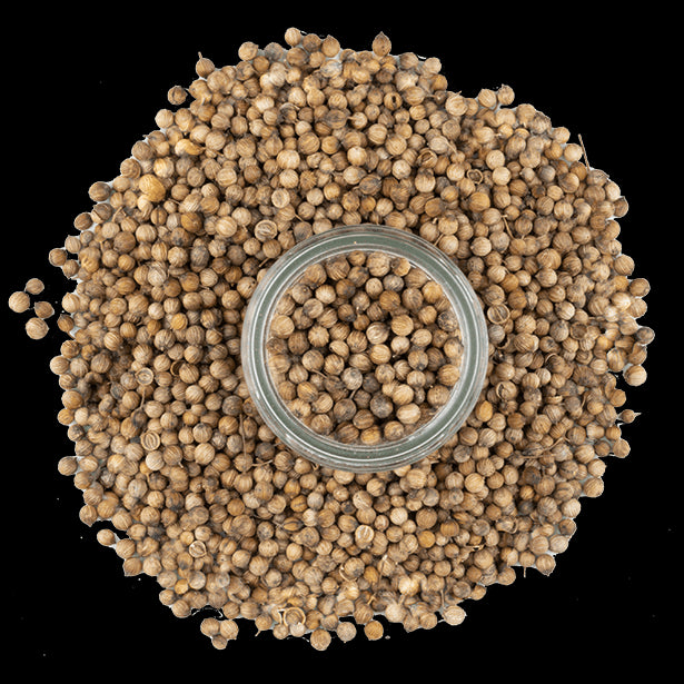 moroccan-coriander-seeds-3.png|algolia