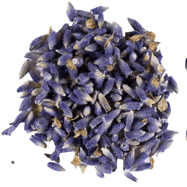 Culinary Lavender Buds