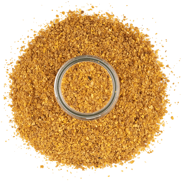 orange-zest-3.png|algolia