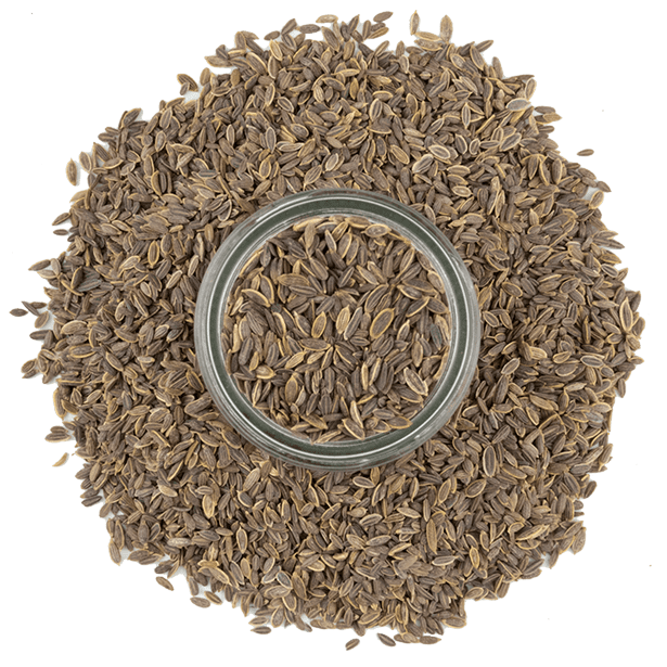 dill-seeds-3.png|algolia