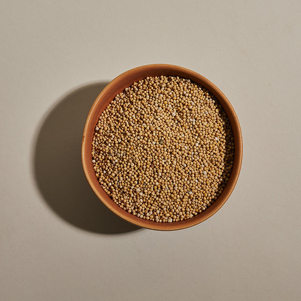 The Mustard Seeds☆Mustard Seeds Mustard Seed – TheZestyMoose