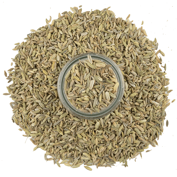 fennel-seeds-3.png|algolia