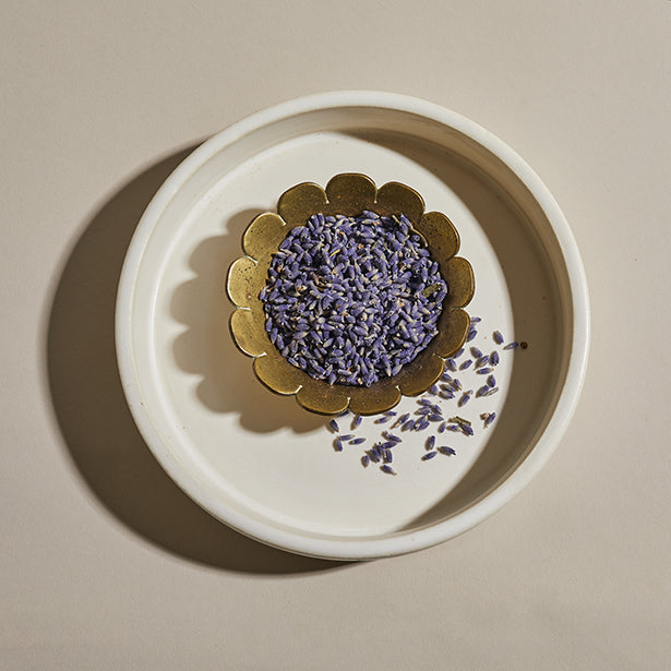 lavender plant food Edible Lavender, 0.5 oz Jar Flatpack, 0.5oz