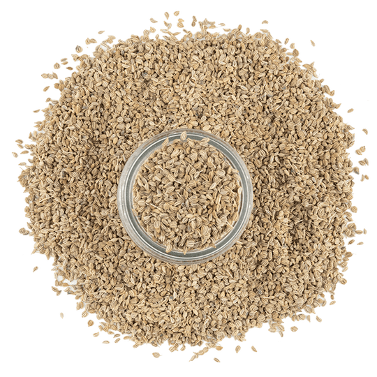 Ajowan Seeds