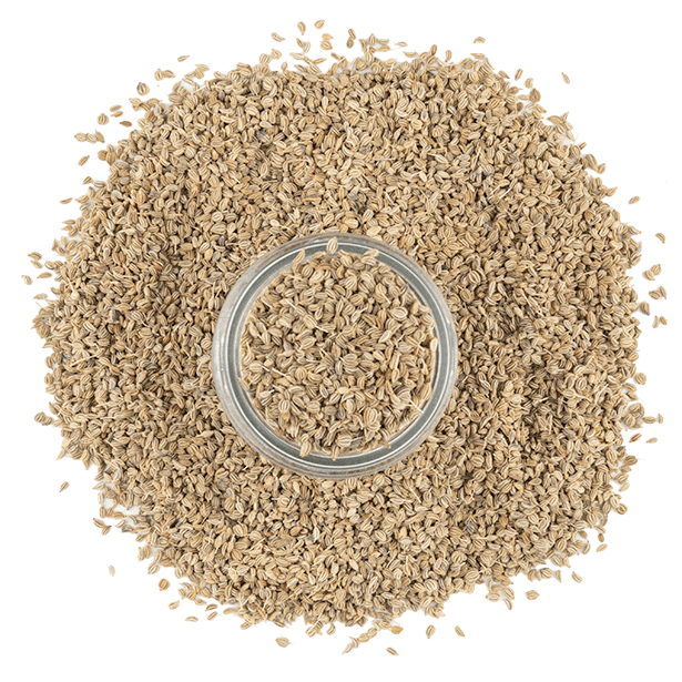Ajow Ajowan Seeds - South Asian Spices - The Spice House