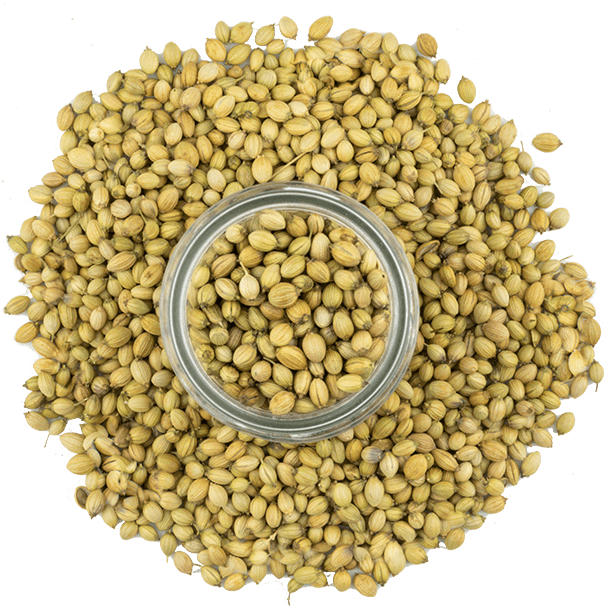 indian-coriander-seeds-3.png|algolia