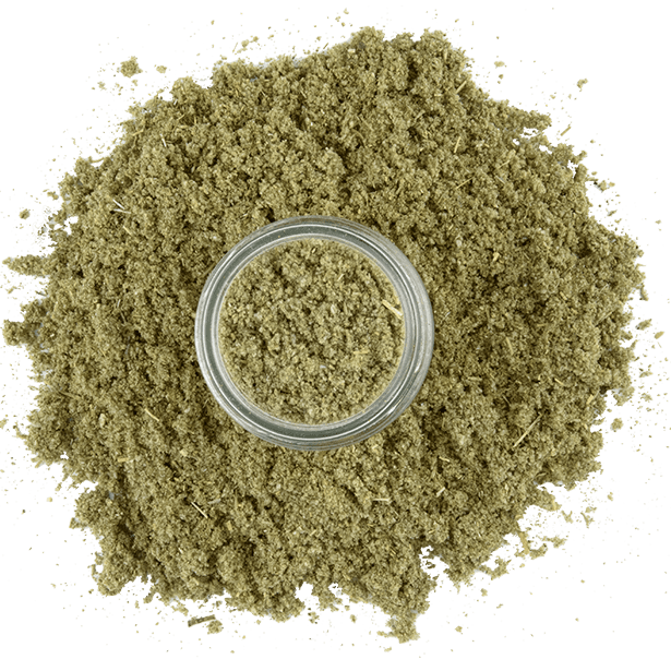 rubbed-sage-3.png|algolia