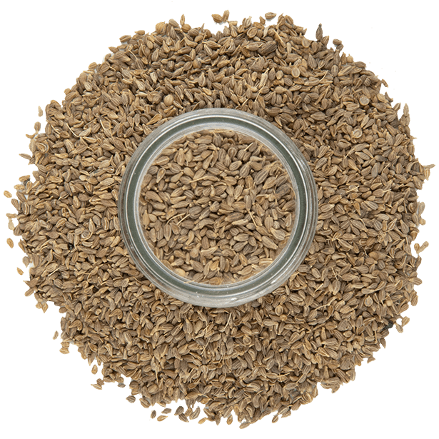 anise-seeds-3.png|algolia