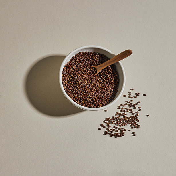 Grains of Paradise in a Jar