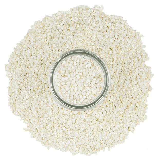 white-sesame-seeds-3.png|algolia