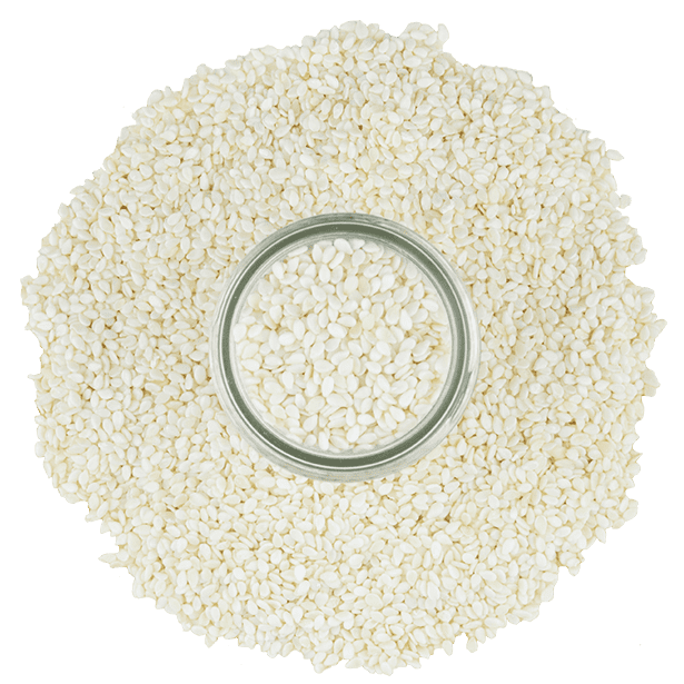 TomorrowSeeds White Sesame Seeds – Benne Asian Til Seeds For Planting, 2025 Harvest, Fast Shipping