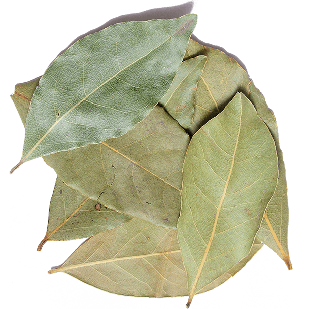 turkish-bay-leaves-3.png|algolia